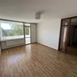 Rent 3 bedroom apartment of 75 m² in Kreuztal