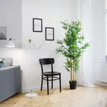 Rent 2 bedroom apartment of 78 m² in berlin