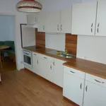 Rent 3 bedroom apartment of 100 m² in Graz