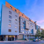 Rent 1 bedroom apartment in Capital City of Prague