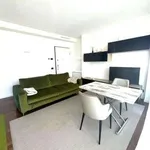 Rent 2 bedroom apartment of 61 m² in Milan