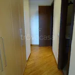 Rent 3 bedroom apartment of 118 m² in Segrate