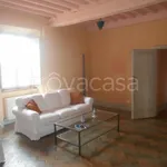 Rent 5 bedroom apartment of 140 m² in Jesi