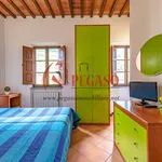 Rent 1 bedroom apartment of 35 m² in Pescia