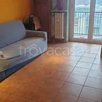 Rent 2 bedroom apartment of 70 m² in Cologno Monzese