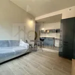 Rent 2 bedroom apartment of 40 m² in Milano