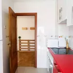 Alquilar 3 dormitorio apartamento en Madrid