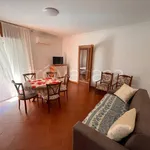 Rent 3 bedroom apartment of 76 m² in Nettuno