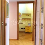 Rent 3 bedroom apartment of 110 m² in Cinisello Balsamo