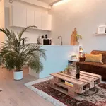 Rent 2 bedroom apartment in Antwerpen