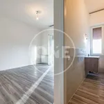 Rent 3 bedroom apartment of 65 m² in Rome