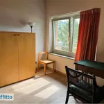 Rent 3 bedroom apartment of 80 m² in Turin