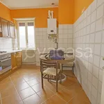 Rent 3 bedroom apartment of 70 m² in Biella