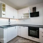 Pronajměte si 2 ložnic/e byt o rozloze 47 m² v Sezimovo Ústí