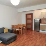 Rent 2 bedroom apartment in Plzeň