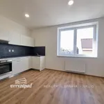 Rent 1 bedroom apartment in Plzeň