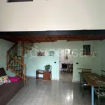 Rent 2 bedroom apartment of 55 m² in Napoli