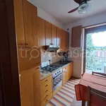 Rent 3 bedroom apartment of 70 m² in Settimo Torinese