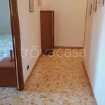 Rent 3 bedroom apartment of 100 m² in Frosinone