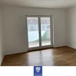 Rent 4 bedroom apartment of 167 m² in Dresden