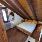 Rent 4 bedroom apartment of 60 m² in Borca di Cadore