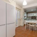 Rent 5 bedroom apartment in Valencia