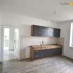 Rent 2 bedroom apartment of 50 m² in Ústí nad Labem