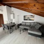 Rent 2 bedroom house of 65 m² in Cremona