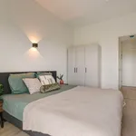 Rent 4 bedroom apartment of 112 m² in Winkelcentrum Schalkwijk