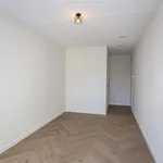 Huur 4 slaapkamer appartement van 119 m² in Den Haag