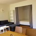 Rent 1 bedroom apartment of 41 m² in Gothenburg