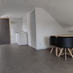 Rent 1 bedroom apartment of 19 m² in MULHOUSE