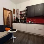 Rent 2 bedroom apartment of 63 m² in Turin