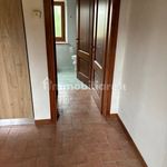 Rent 2 bedroom apartment of 45 m² in Florence