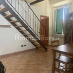 Rent 5 bedroom apartment of 85 m² in Livorno