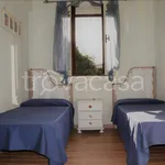 Rent 4 bedroom apartment of 90 m² in Olbia