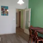 Rent 3 bedroom apartment of 80 m² in Turin