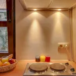 Appartement de 377 m² avec 1 chambre(s) en location à Brussels