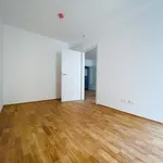 Rent 1 bedroom apartment of 44 m² in Graz