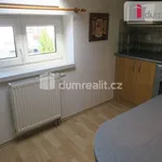 Rent 1 bedroom apartment of 40 m² in Zlín