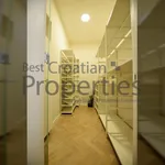 Rent 1 bedroom apartment of 130 m² in City of Zagreb