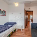 Rent 3 bedroom apartment in Praha 5