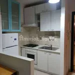 Rent 2 bedroom apartment of 58 m² in Rome