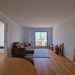 Rent 1 bedroom apartment of 51 m² in Lisbon