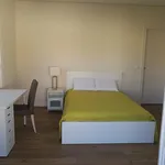 Rent 8 bedroom house in Porto