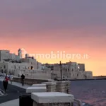 Rent 2 bedroom apartment of 45 m² in Giovinazzo