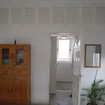 Rent 1 bedroom house of 44 m² in Dobbelmannduin