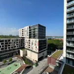 Rent 1 bedroom apartment in Toronto (Regent Park)