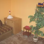 Rent 1 bedroom apartment of 42 m² in Ústí nad Labem