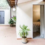 Rent 1 bedroom apartment in Florence